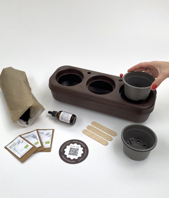 Kit potager d'intérieur -...