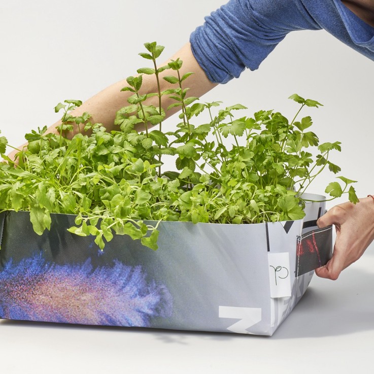 Kit potager mobile prêt à planter avec 6 feuilles et fleurs comestibles bio