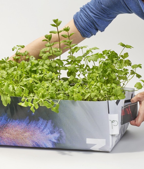 Kit potager mobile prêt à...