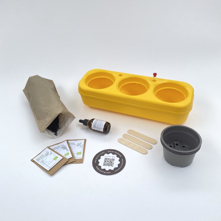 Kit potager d'intérieur - Graines Bio - Basilic, Roquette, Coriandre