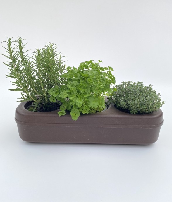 Kit potager d'intérieur -...