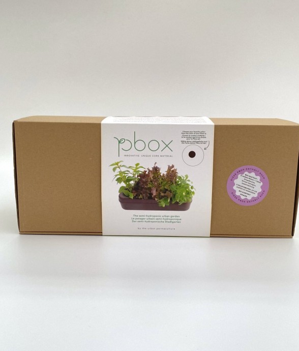 Kit potager d'intérieur -...