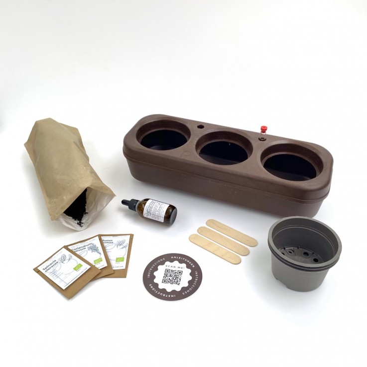 Kit potager d'intérieur - Graines Bio - Basilic cannelle, Basilic citron, Basilic gustosa - en liège