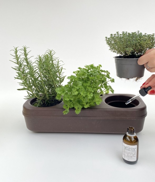 Kit potager d'intérieur -...