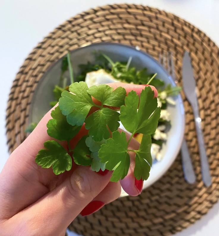 Kit potager d'intérieur - Graines Bio - Moutarde, Persil, Oseille - en liège