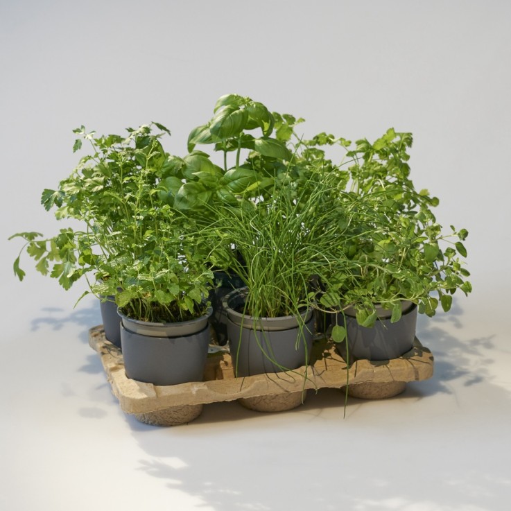 Kit potager mobile prêt à planter avec 6 aromates et fleurs comestibles bio