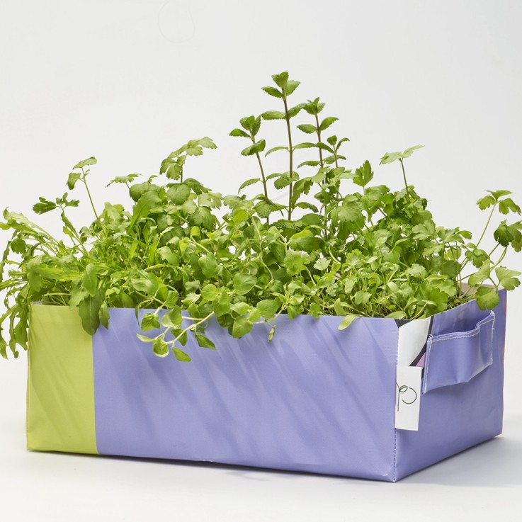 Kit potager mobile prêt à planter avec 6 aromates et fleurs comestibles bio