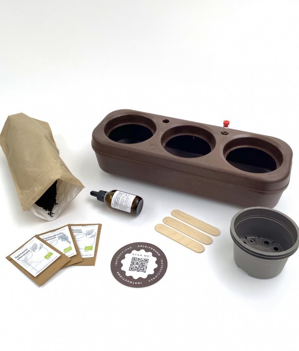 Kit potager d'intérieur -...