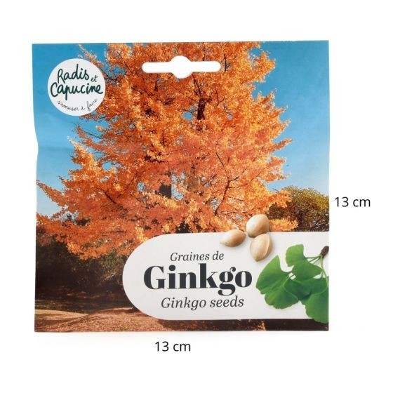 Bonsaï garden set Ginkgo Bio