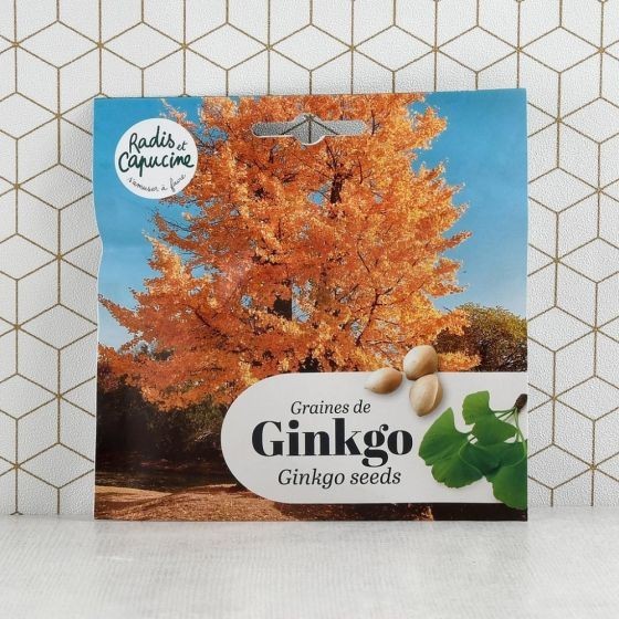 Bonsaï garden set Ginkgo Bio