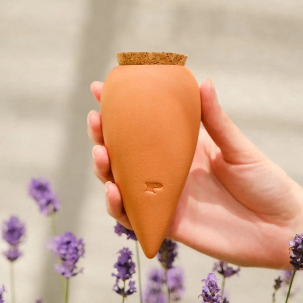 Trio Ollas Naturelles Mini Diffuseurs d'eau pour plantes
