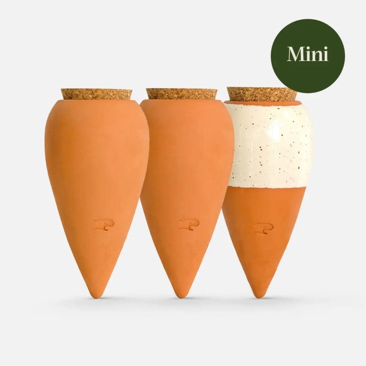 Trio Ollas Naturelles Mini Diffuseurs d'eau pour plantes