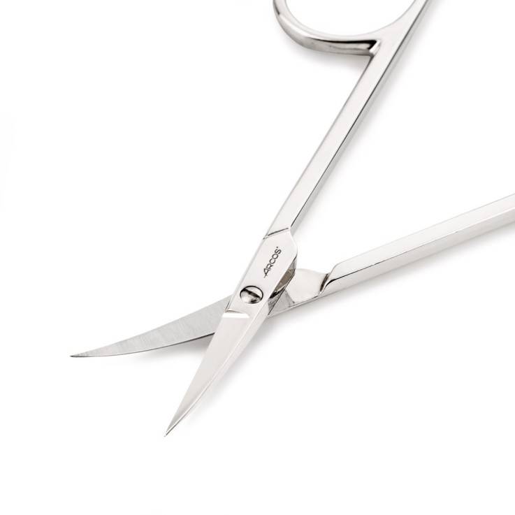 Ciseaux de manucure Style Acier Inoxydable (inox) 10,2 cm