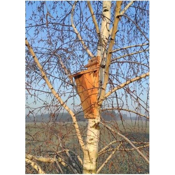 Nichoir grimpereau en bois