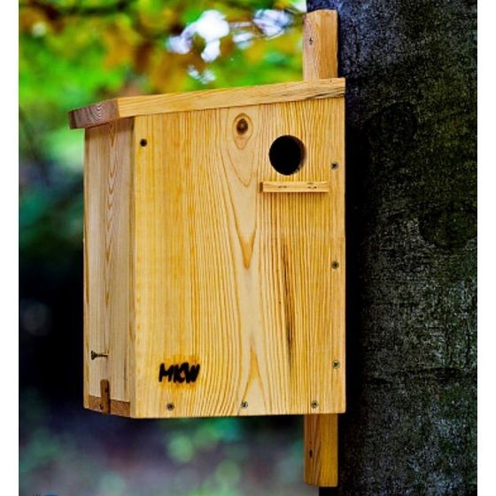 Gite nichoir à écureuils roux