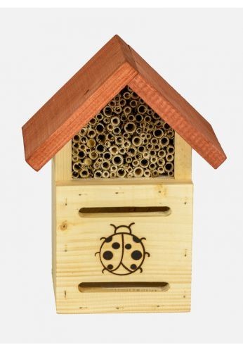 Hotel à insectes modèle coccinelles