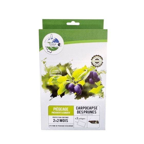 Piège prêt à l'emploi Carpocapse des prunes