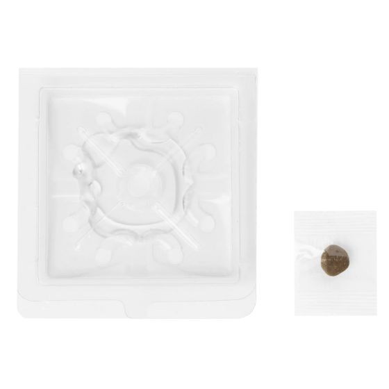 Piège Poisson d'argent - Prêt à l'emploi (x2)