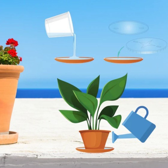 Piège à larves moustiques - x1 Piège