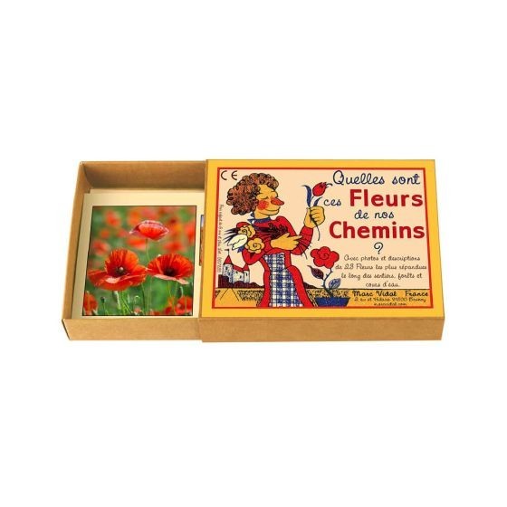 Quelles sont ces fleurs de nos chemins ?