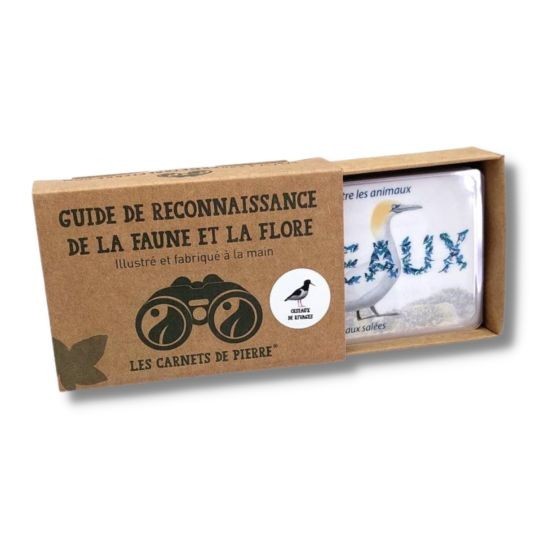 Carnet Oiseaux d'eau marin