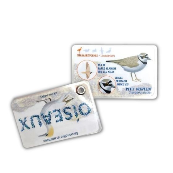 Carnet Oiseaux d'eau marin