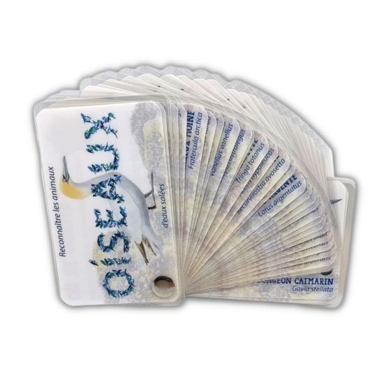 Carnet Oiseaux d'eau marin