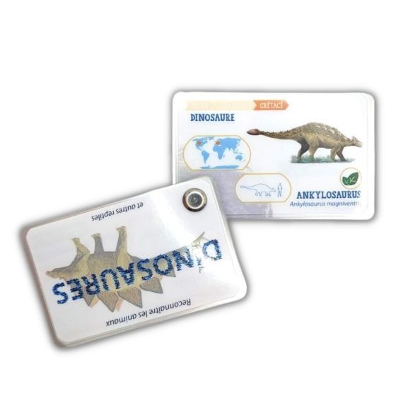 Carnet Les dinosaures