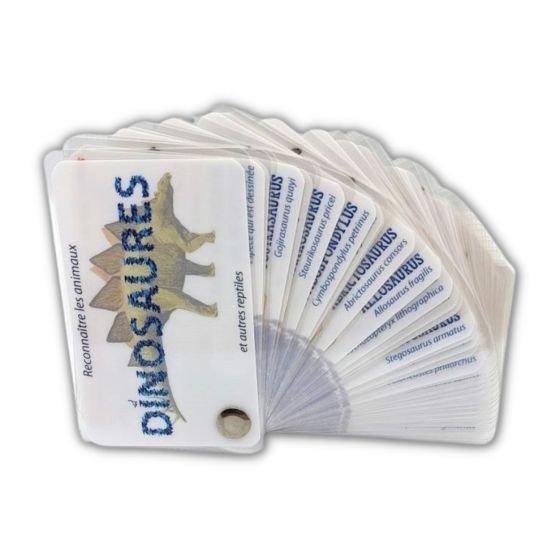 Carnet Les dinosaures