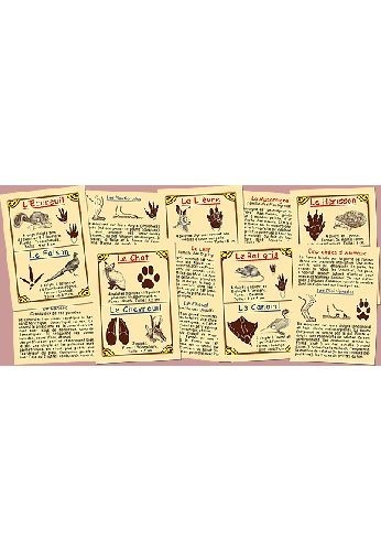 Empreintes d'animaux de nos campagnes
