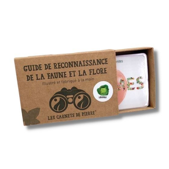 Carnet Légumes du potager