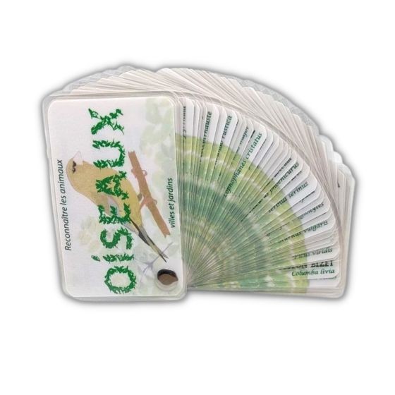 Carnet Oiseaux des jardins et des villes