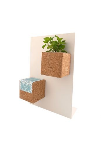 Grow Cube aimanté Pensée
