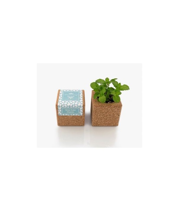 Grow Cube aimanté Menthe