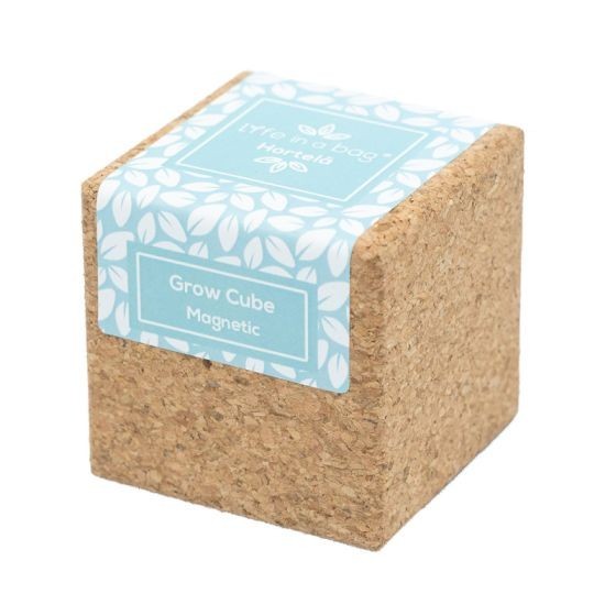 Grow Cube aimanté Menthe