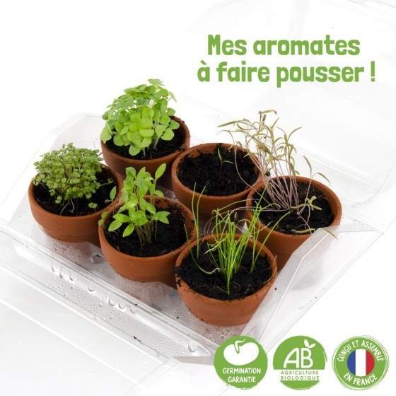 Mini serre de jardinage aromatiques à semer