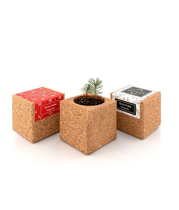 Grow Cube aimanté Sapin de...
