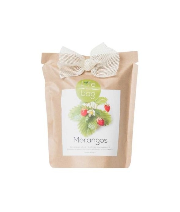 Kit bio prêt à pousser Fraise