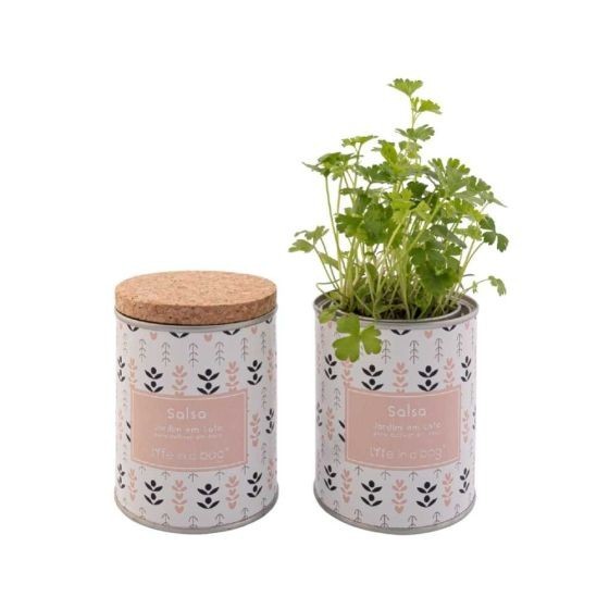 Jardin en boite Modern Persil