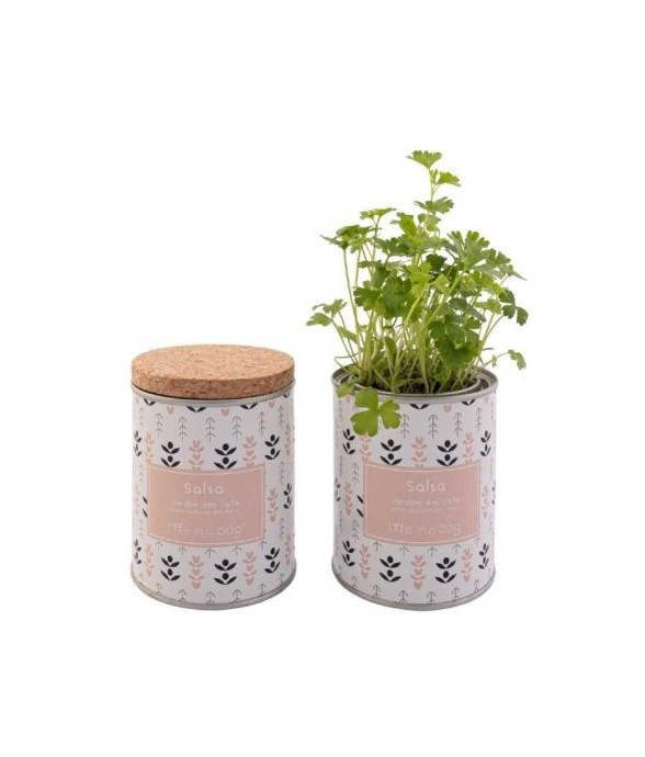 Jardin en boite Modern Persil