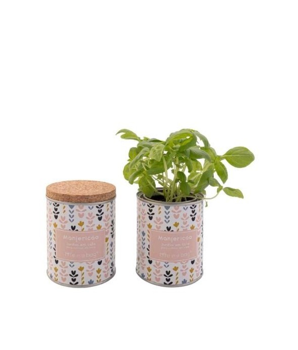 Jardin en boite Modern Basilic