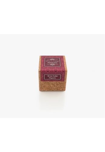 Grow Cube aimanté Piments