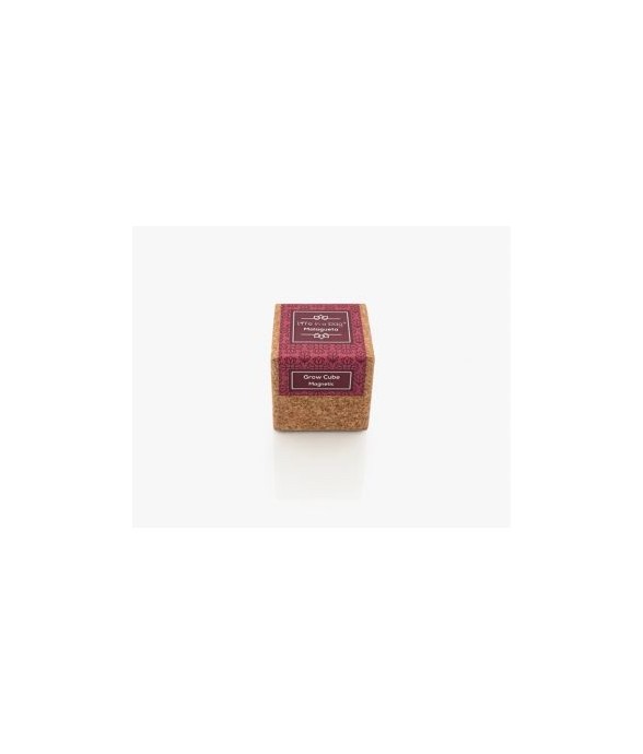 Grow Cube aimanté Piments