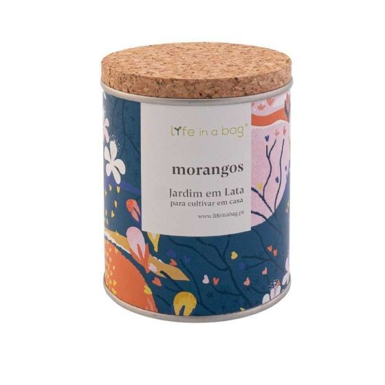 Jardin en boite Floral Fraise