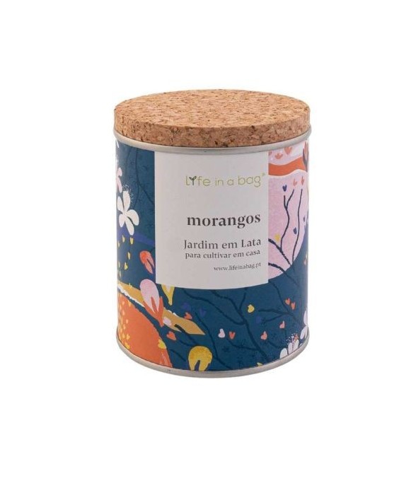 Jardin en boite Floral Fraise