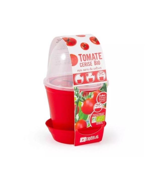 Pot en cloche - Tomate cerise