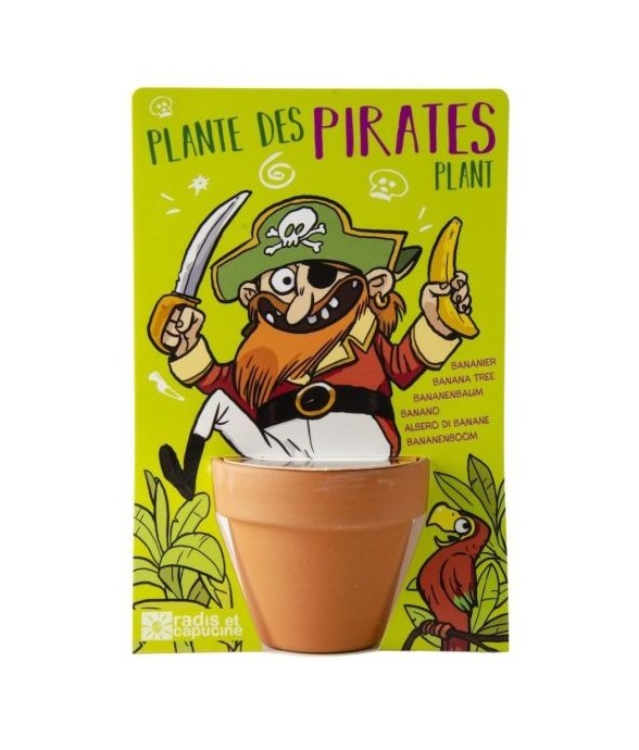 Pirate et son Bananier à...