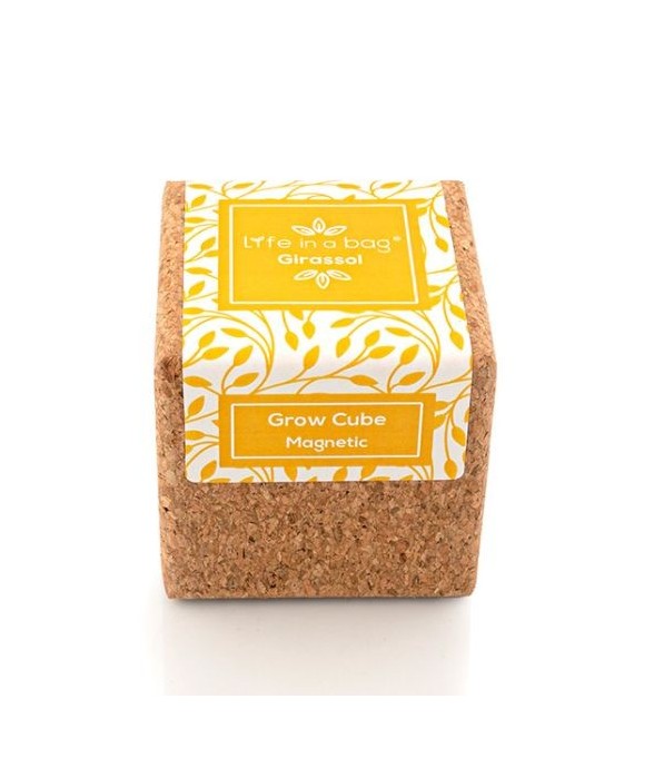 Grow Cube aimanté Tournesol