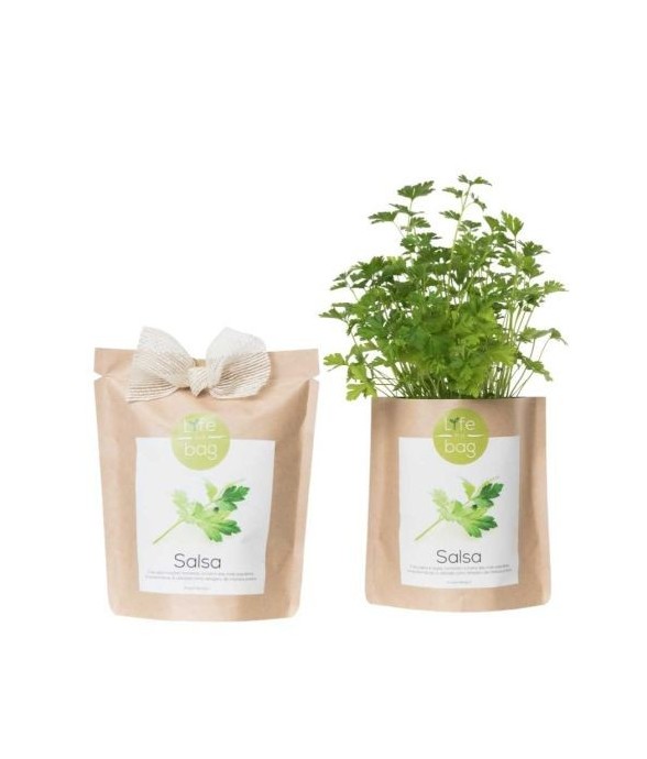 Kit bio prêt à pousser Persil