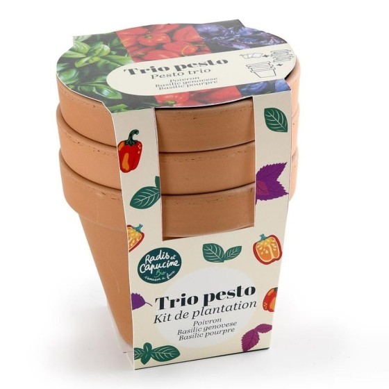 Trio de pots en terre cuite - Pesto Bio*
